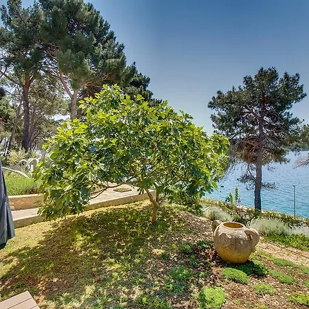 Marko Mali Losinj